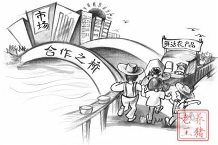 2017年养猪人的最终出路到底在哪里?