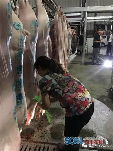 农业执法检查：从目测到仪器检测 一头猪历经11道大关