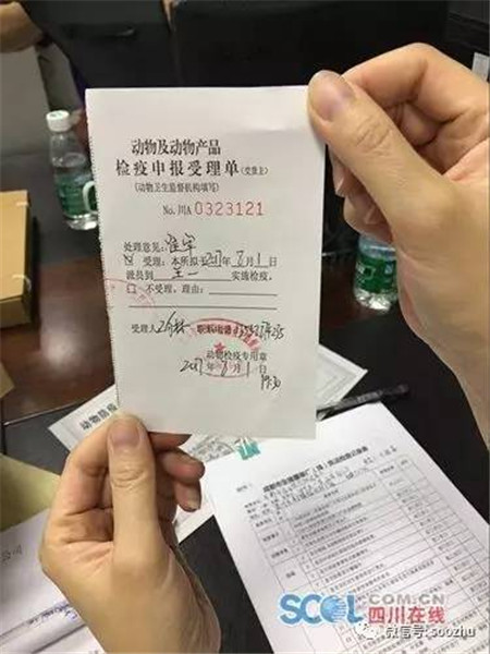 农业执法检查：从目测到仪器检测 一头猪历经11道大关