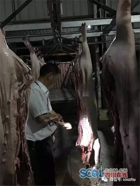 农业执法检查：从目测到仪器检测 一头猪历经11道大关