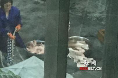 常宁市一加工猪耳朵、猪大肠的黑作坊被取缔