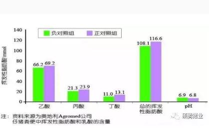 日粮中添加这个,提高猪群生产性能就是这么简单!