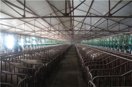 农业部：下一步把东北打造成全国猪肉产品重要供应基地