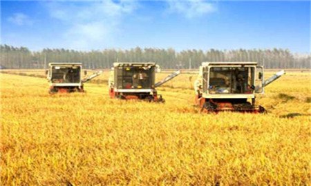 值得参考!美国玉米带发展生猪养殖的做法与