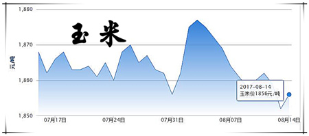 8月14日猪评：市场趋于平衡，猪价在8月无大涨大跌基础