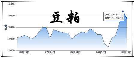 8月14日猪评：市场趋于平衡，猪价在8月无大涨大跌基础