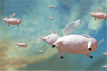 “台风来了 猪都会飞” 是谁说的，飞猪理论到底是什么？