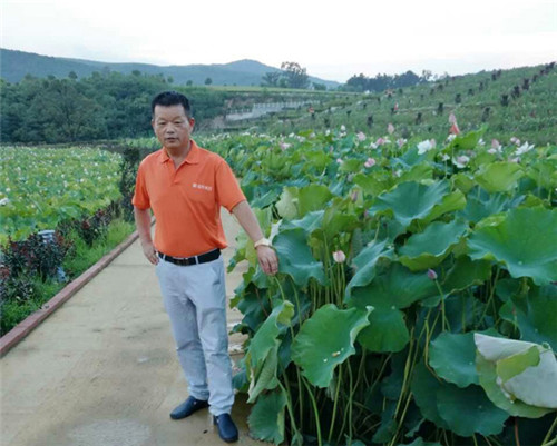 默默耕耘的养猪人如何建立养猪事业？