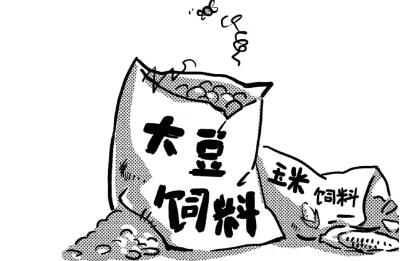 上半年饲料业概况:猪料大幅增长10.4%意味着什么?