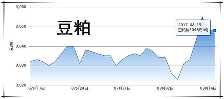 8月15日猪评：优质猪源偏紧猪价跌幅缩小 后期走势将如何