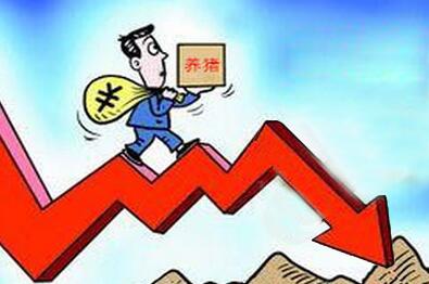 猪周期下行压缩养猪利润 雏鹰农牧全产业链布局平抑风险