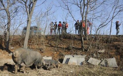 界定模糊、范围不合理?学者认为禁养区的划定问题很多!