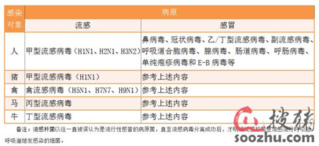 哇！猪流感要来了，你的猪场做好准备了吗？