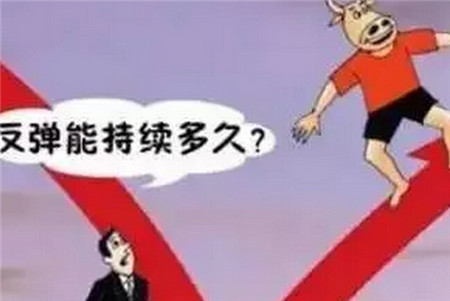 短期猪价走势主要是季节性主导的小反弹，下半年猪价阶段性反弹是大概率事件！