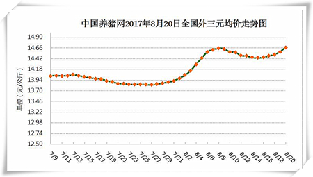 8月20日猪评：后市猪价将季节性回升 但上涨空间并不大