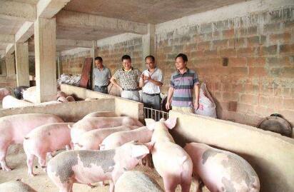 四川发紧急通知，叫停环保禁养“一刀切”！