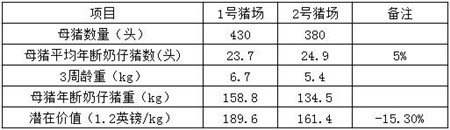 养猪场应学会用断奶力来评价母猪生产性能