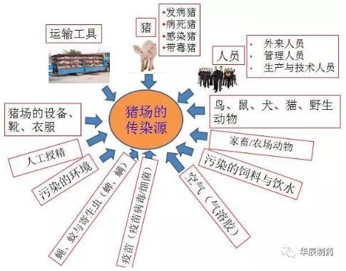 要想猪场盈利，需做好生物安全措施