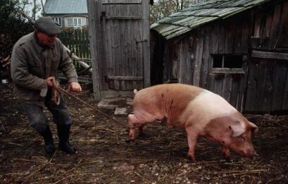 坑蒙拐骗从此遁形,农业部加快建立经营主体信用档案