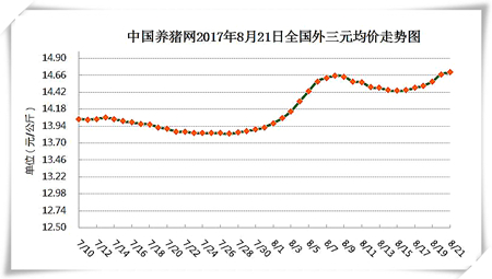 8月21日猪评：猪价上涨大快人心 高兴之余莫忘照顾好“二师兄”