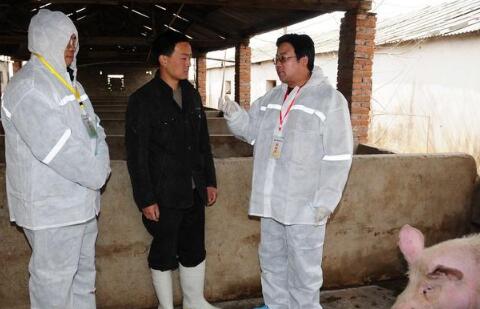 此轮“猪周期”与过去有两个显著差异,原因是什么