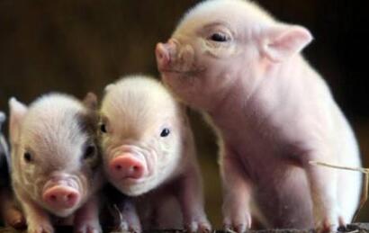 要拆?可以! 你依据哪条拆?手续呢?补偿呢?!