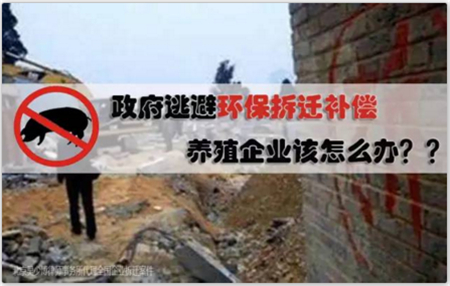 养殖场环保关停拆迁零补偿,竟然是因为这些原因!