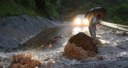 紧急!昨日“天鸽”登陆多省肆虐,养猪户注意防御