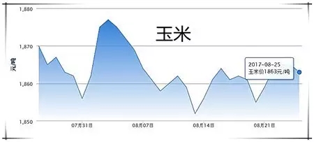 8月25日猪评：开学与天气因素利好，预计猪价上行概率依旧大