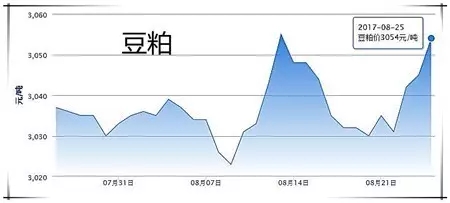 8月25日猪评：开学与天气因素利好，预计猪价上行概率依旧大