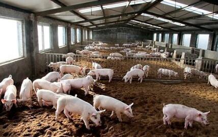 成都划定禁养区3532平方公里 “关一转一”补贴10万元