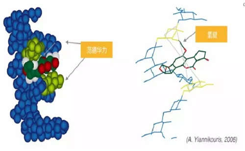 净霉宝——强效吸附脱毒+酶解+解毒+抑霉+功能调节