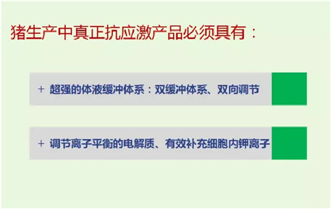 绿健宝带您走出抗应激误区：多维≠抗应激！