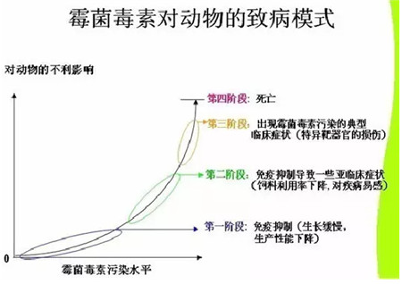 霉菌毒素防治方案！