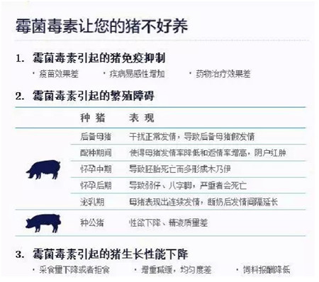 霉菌毒素防治方案！