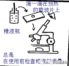哪些因素会影响猪精液保存的质量?不可不知!