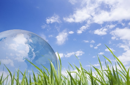 环保高压不可怕:未来3类养殖企业获国家认可,4大商机价值千亿