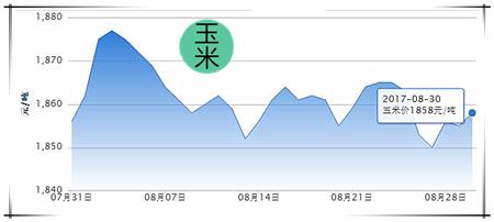 8月30日猪评：南北结算价相对稳定，屠宰企业涨价困难