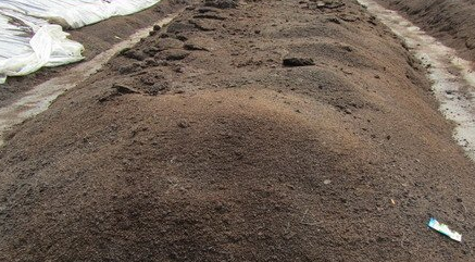 作为高台乡“粪污综合利用服务队”(简称“服务队”)首任队长,百家池村8组的村民李中元告诉记者,从7月初服务队成立,到现在总共运了20多车,粪卖得干干净净。