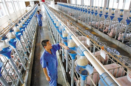 环保高压不可怕 专家:注重环保和现代化仍大有可为