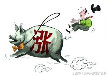 环保高压下猪价企高 散户转型家庭猪场的可行性分析