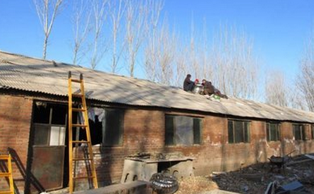   记者了解到，自从去年8月份蓬江区正式进行黑臭水体农业污染源整治至今，在棠下镇禁养区，目前仍有两家大型养猪场还未签署《畜禽养殖关停拆除协议》。