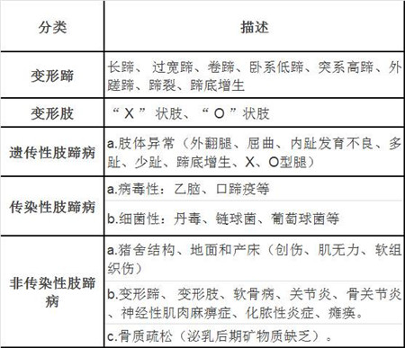 猪肢蹄病的研究进展及防治