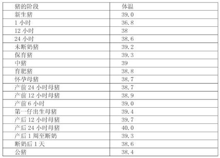 切记!养猪忽视猪体温的变化可能吃大亏!