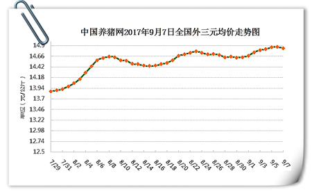 9月7日猪评：猪价小幅下跌不必惊慌，短暂调整后将再涨