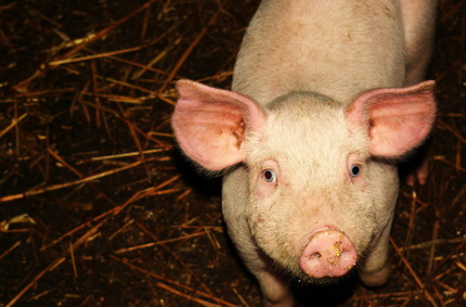 环保部表示：从9月1日开始,针对“2+26”城市将开展“京津冀及周边地区2017-2018年秋冬季大气污染综合治理攻坚行动”强化督查。