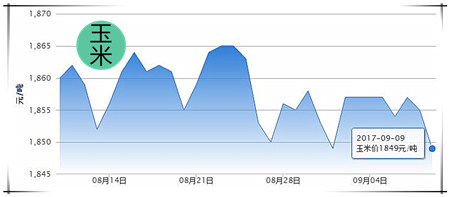 9月9日猪评：猪价又下跌，短期上涨阻力大但有一定上涨空间