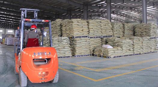 饲料价格上涨令人担忧,玉米价格疯涨的动力是否充足?