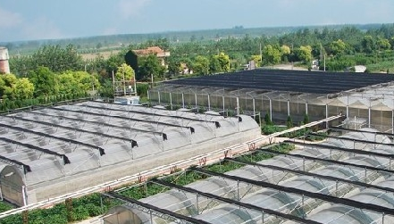  天邦股份9月7日发布公告称，拟建造28个西式母猪场等33个项目，总投资达24亿元。项目全部达产后预计可形成年出栏大约680万头商品猪的生产能力。