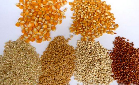 老话讲“金九银十”,说的是9-10月份商品市场购销较为火爆,这在油脂现货市场也同样适用。